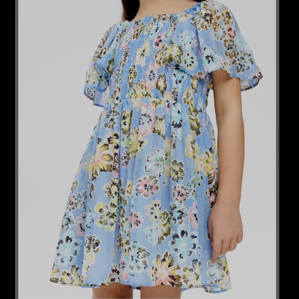 Tanya Taylor Mini Glenda Dress Large Blue Floral NWT Designer Kids Dress